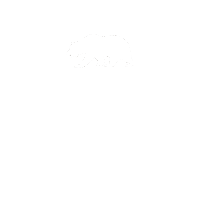 Axis Event Solutions
